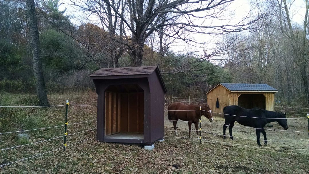 6x6 horse run-in shed delivered to East Chatham, NY